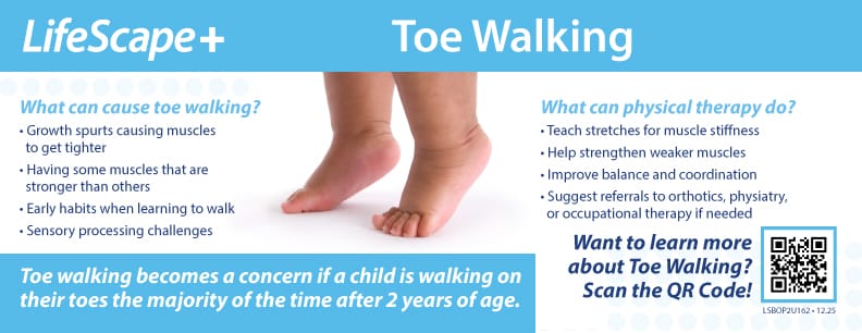Toe Walking Information